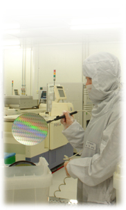 腾博会官网 - 诚信为本,专业效劳!